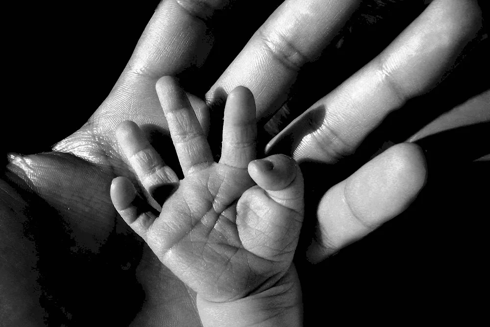 Family hands