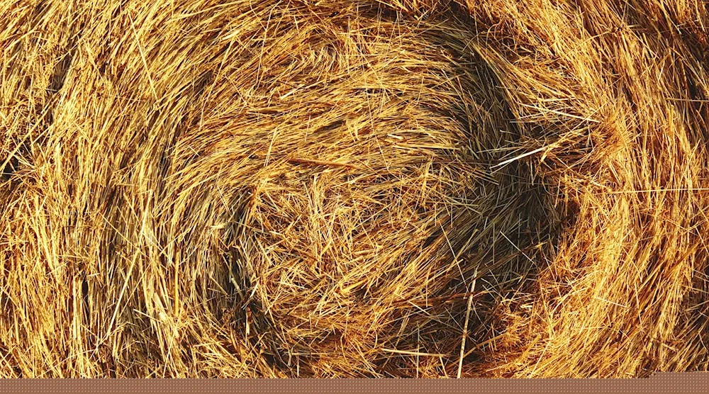 Straw texture