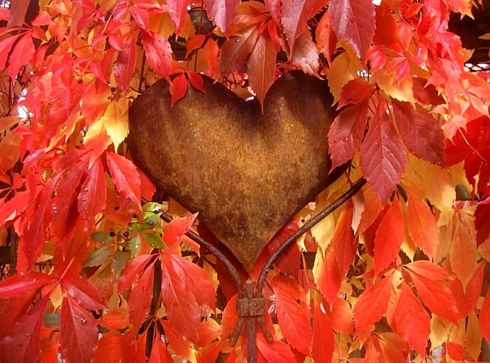 Autumn love