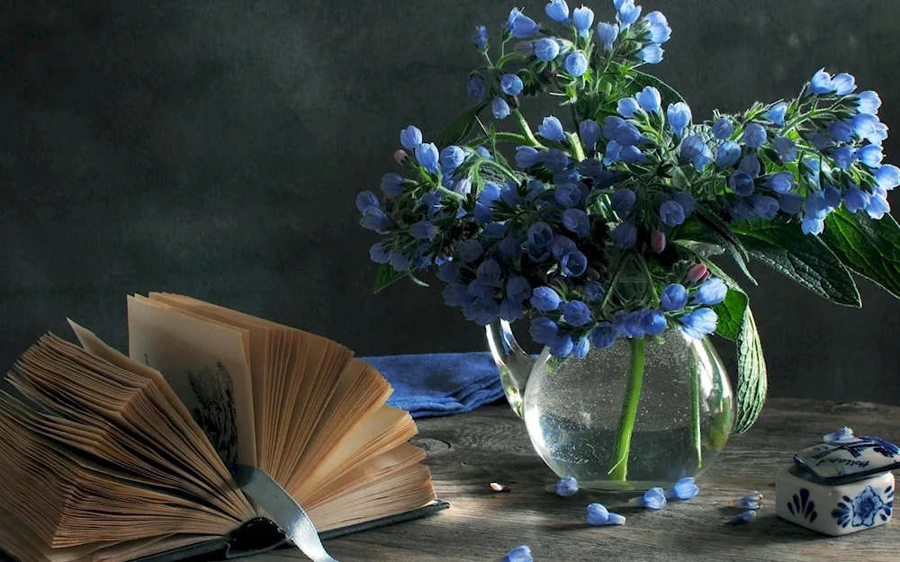 Beautiful still lifes with flowers