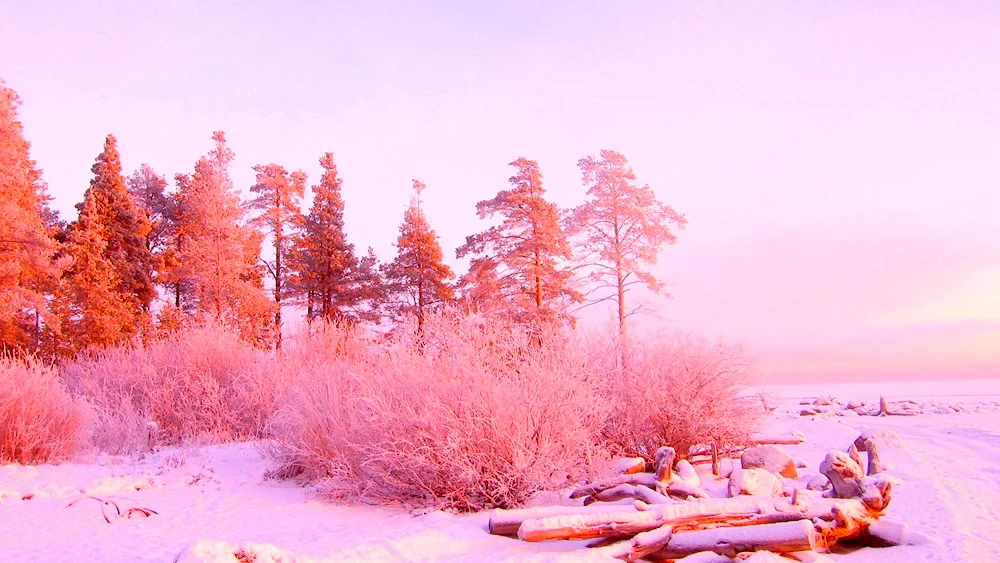 Pastel background
