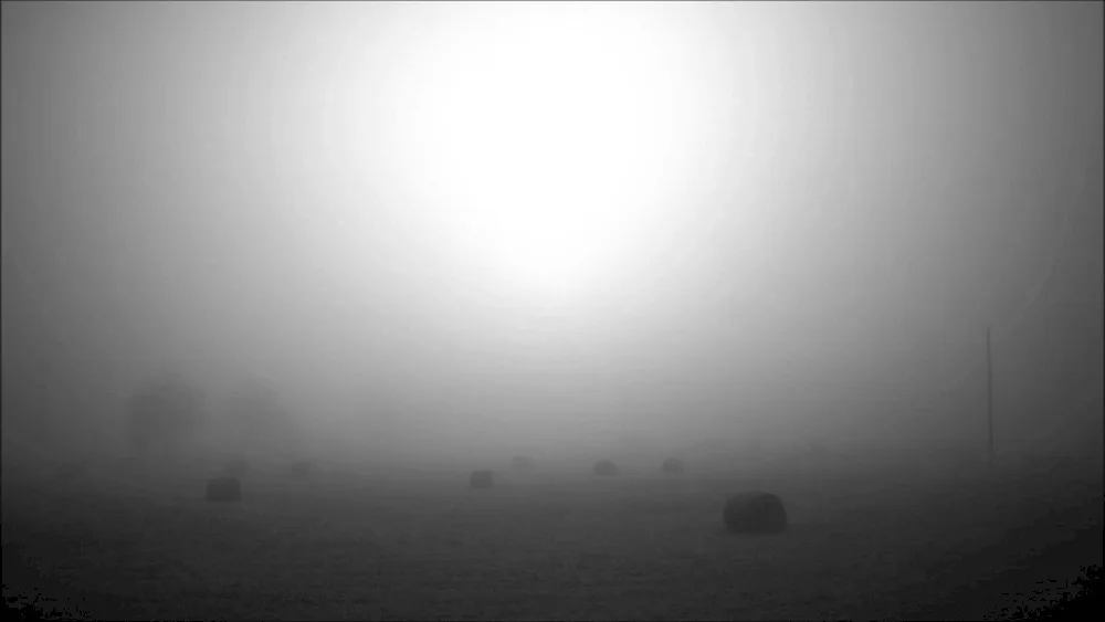 Silhouette of a man in the fog