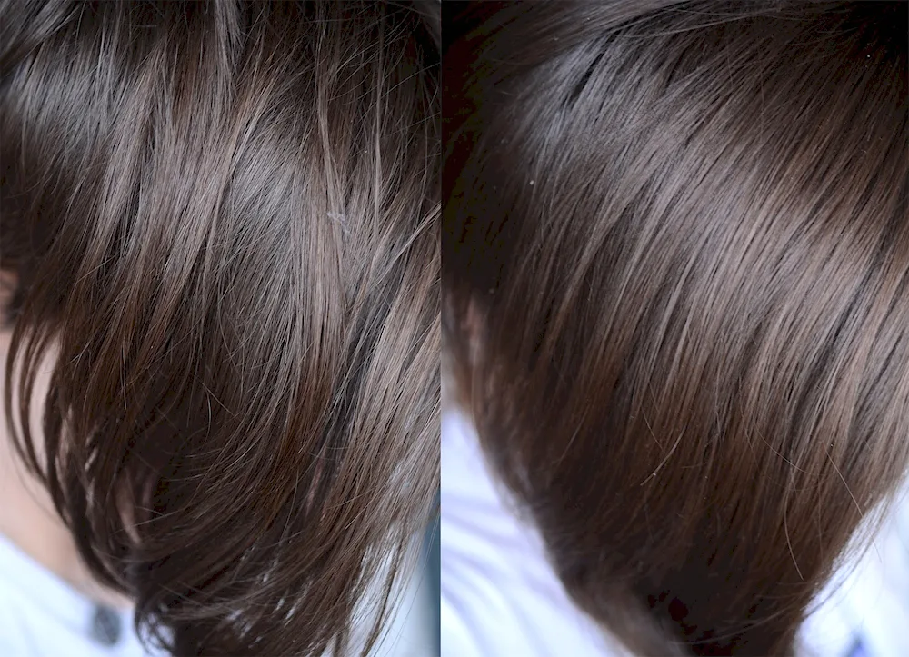 Siez graphite chestnut