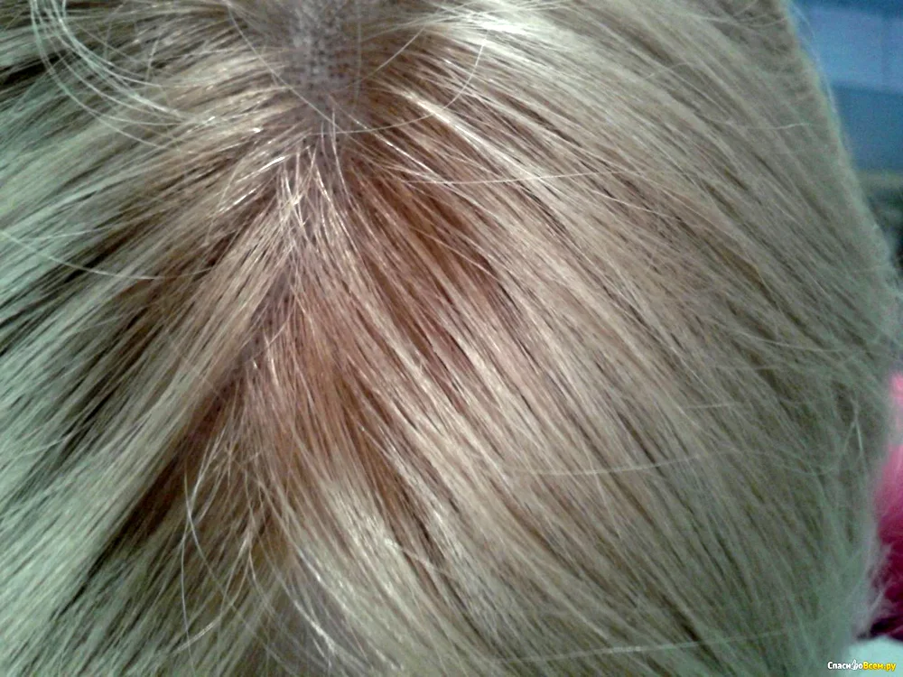 Wheat blond vella