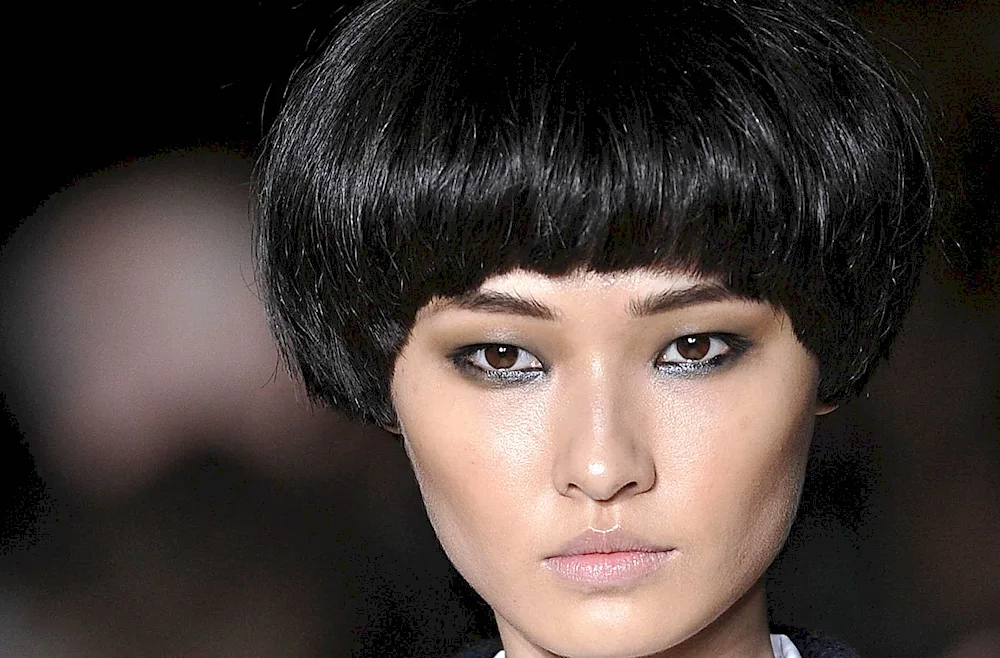 Sesson Pixie Bob