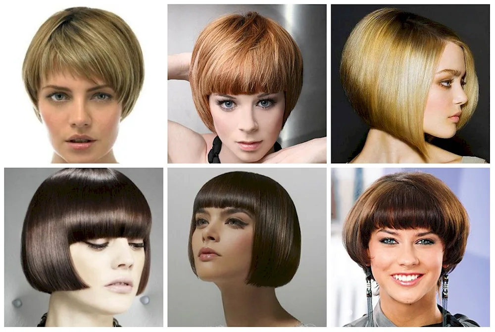 Sesson Bob