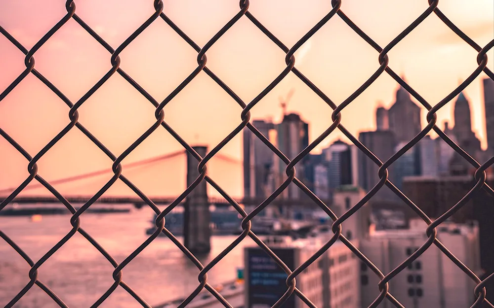 Mesh Fence Aesthetic