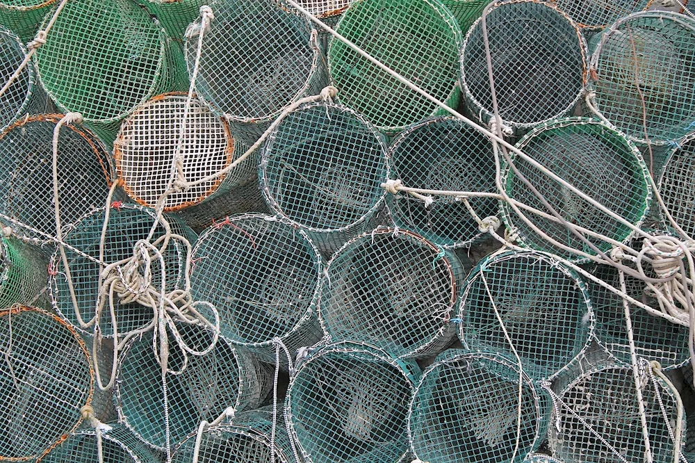 Fishing Net