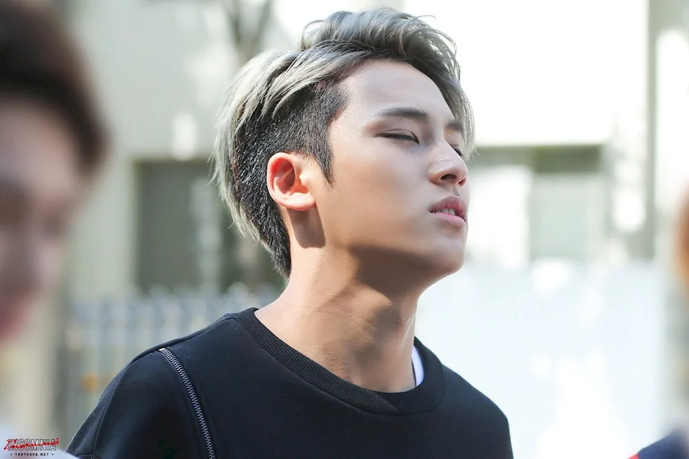 Seventeen Mingyu