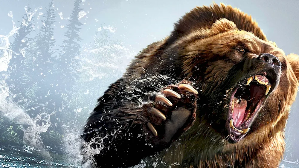 America Grizzly bearFilm Grizzly bear 2015