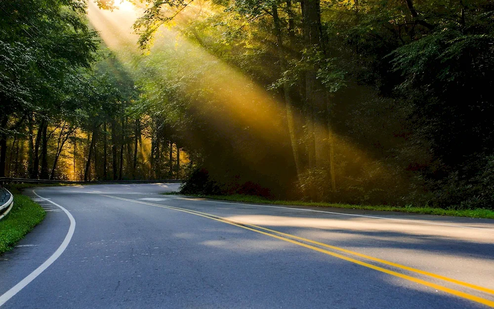 North Carolina nature road