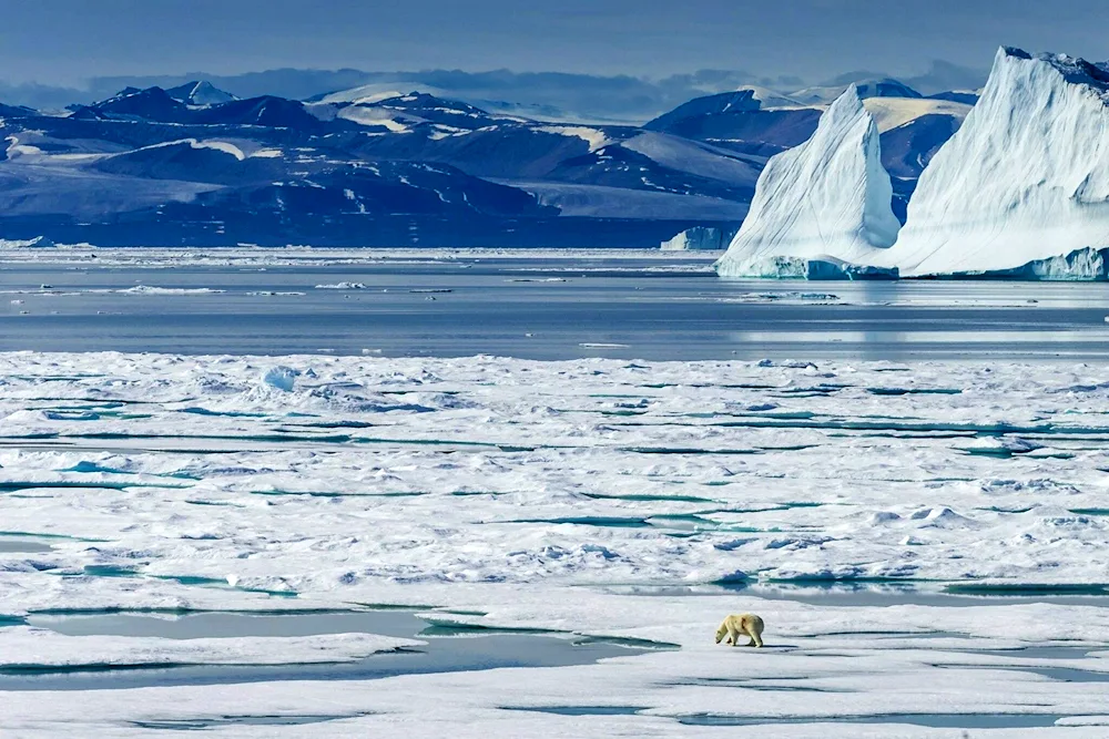 Northern Pole Arctic Ocean pole