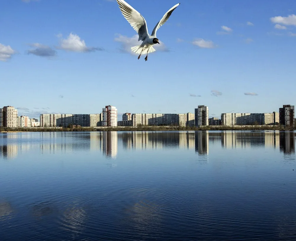 Yagry embankment Severodvinsk