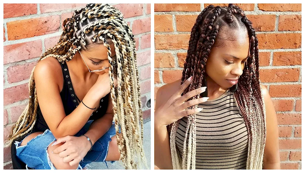 Sphinx French Afro braids