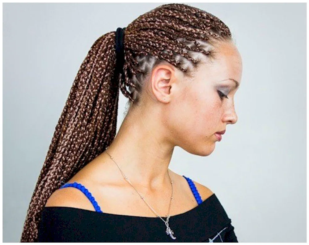 Sphinx French braids afro braids