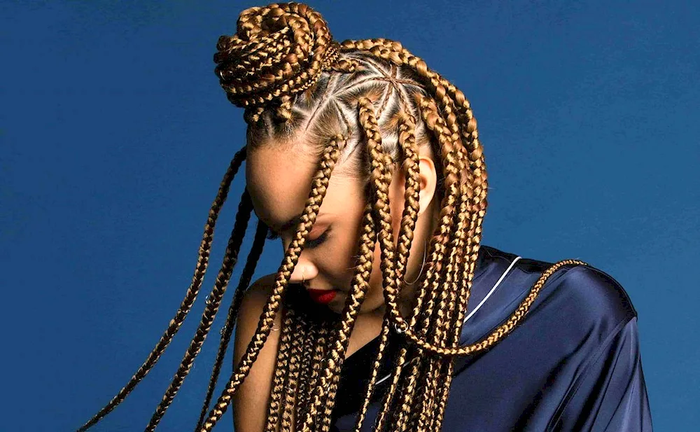 Sphinx afro braids