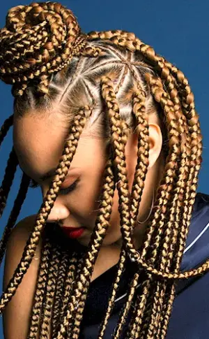 Sphinx French Afro braids