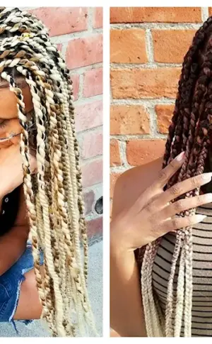 Sphinx French braids Afro braids