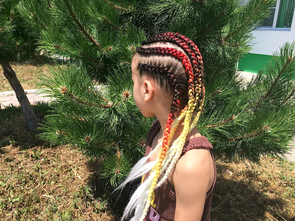 Sphinx French Afro braids