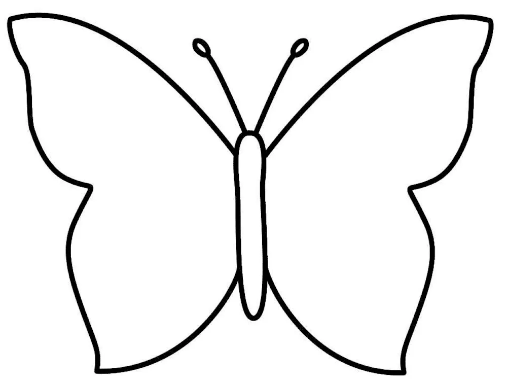 Butterfly template