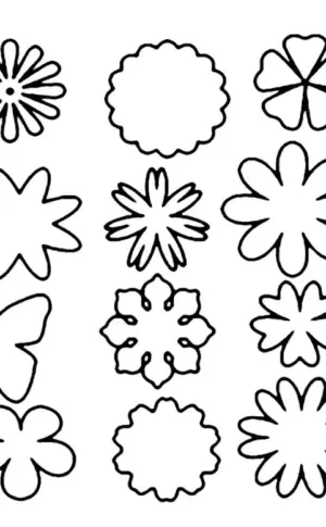 Flower templates for cutting