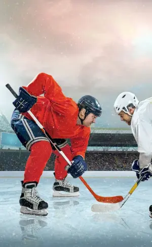 Hockey puck for hockey