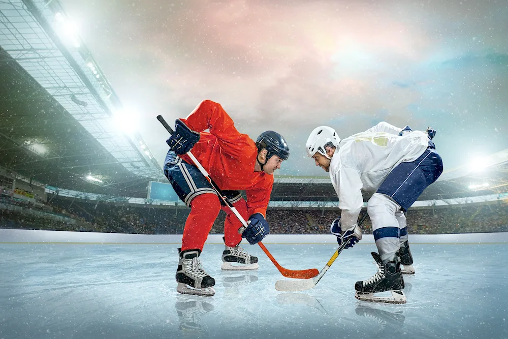 Hockey puck for hockey