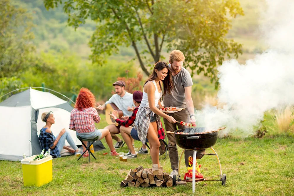 Picnic in the countryside