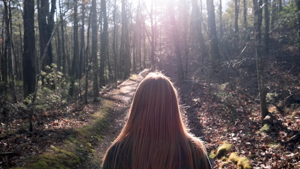 Dark brunette from the back. blonde hair in the sun