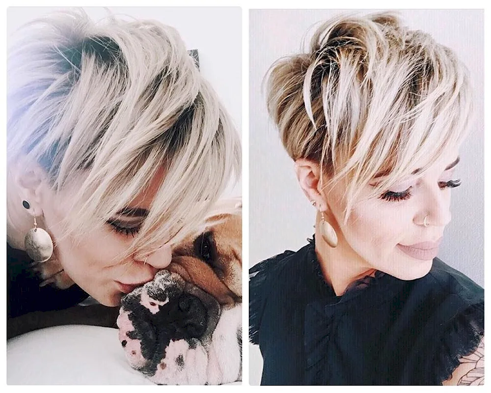 Shattouch on Pixie