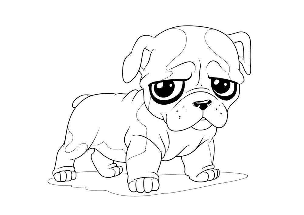 Corgi Kawaii