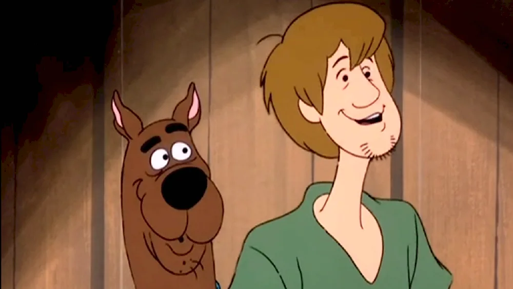 Shaggy Rogers