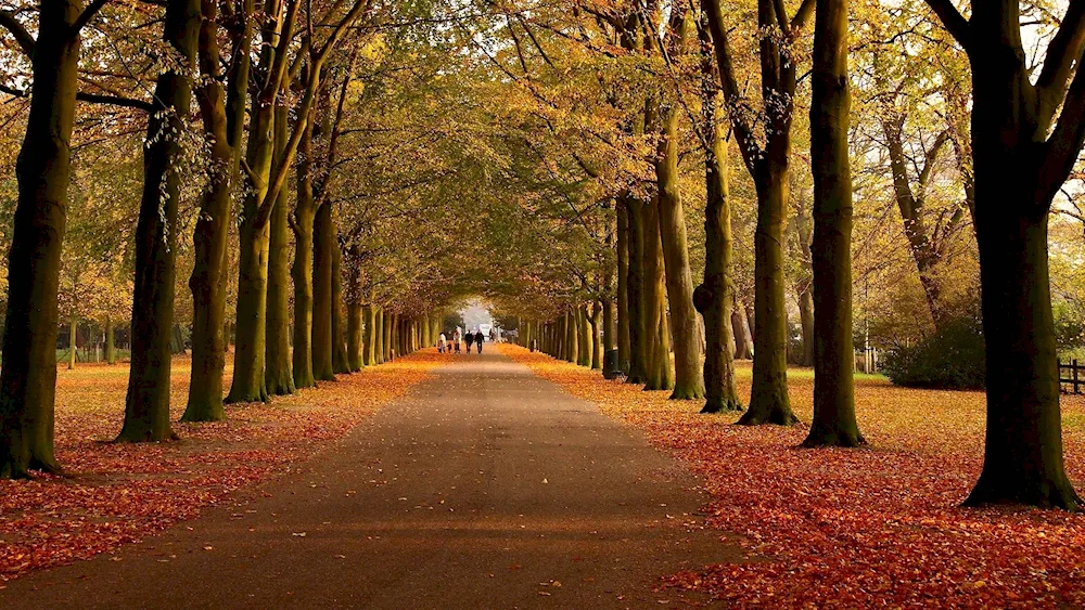 Schönbrunn Park in autumn