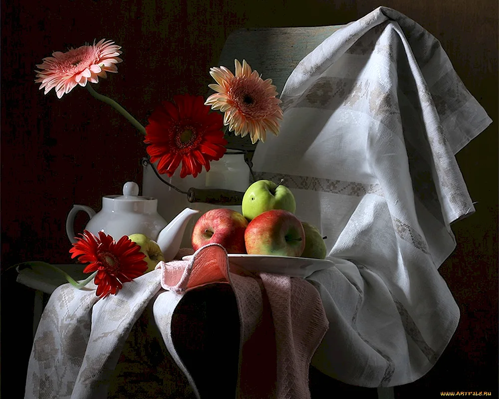 Sharon Corr still life