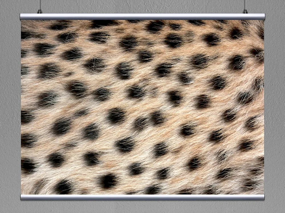 Leopard fur