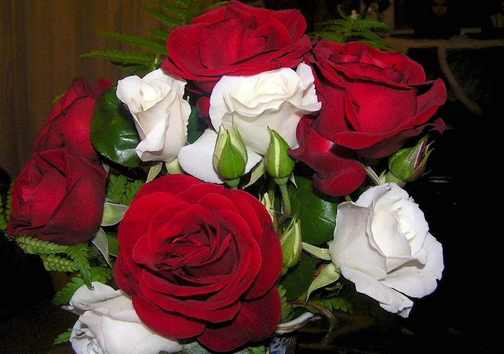 A bouquet of roses at home