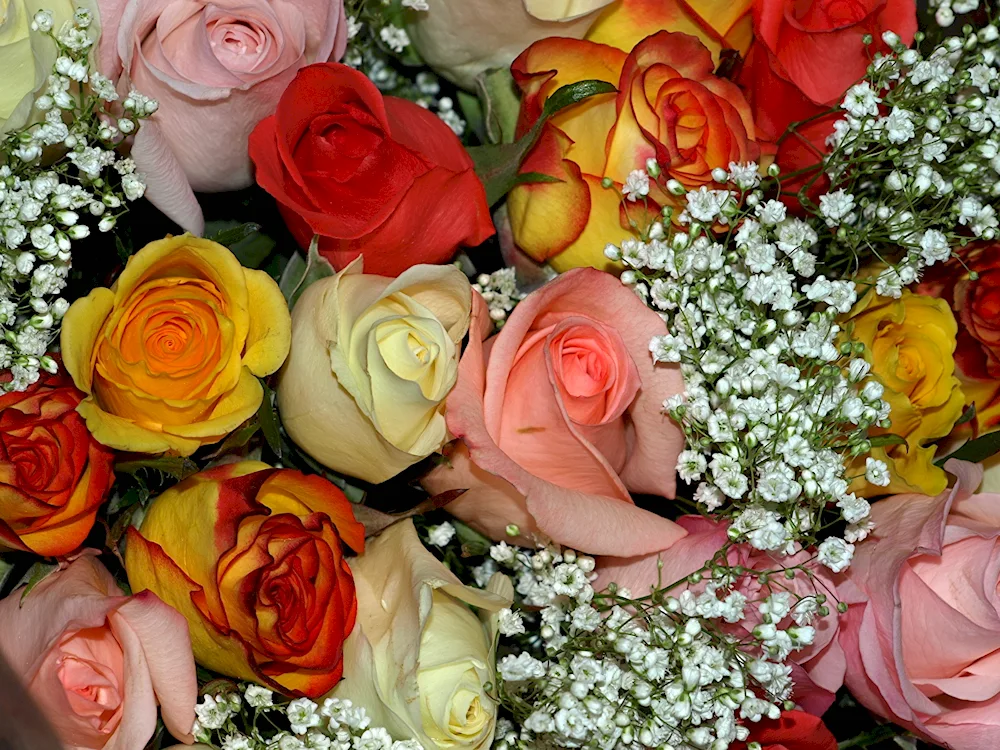 Bouquet of flowers on a black background