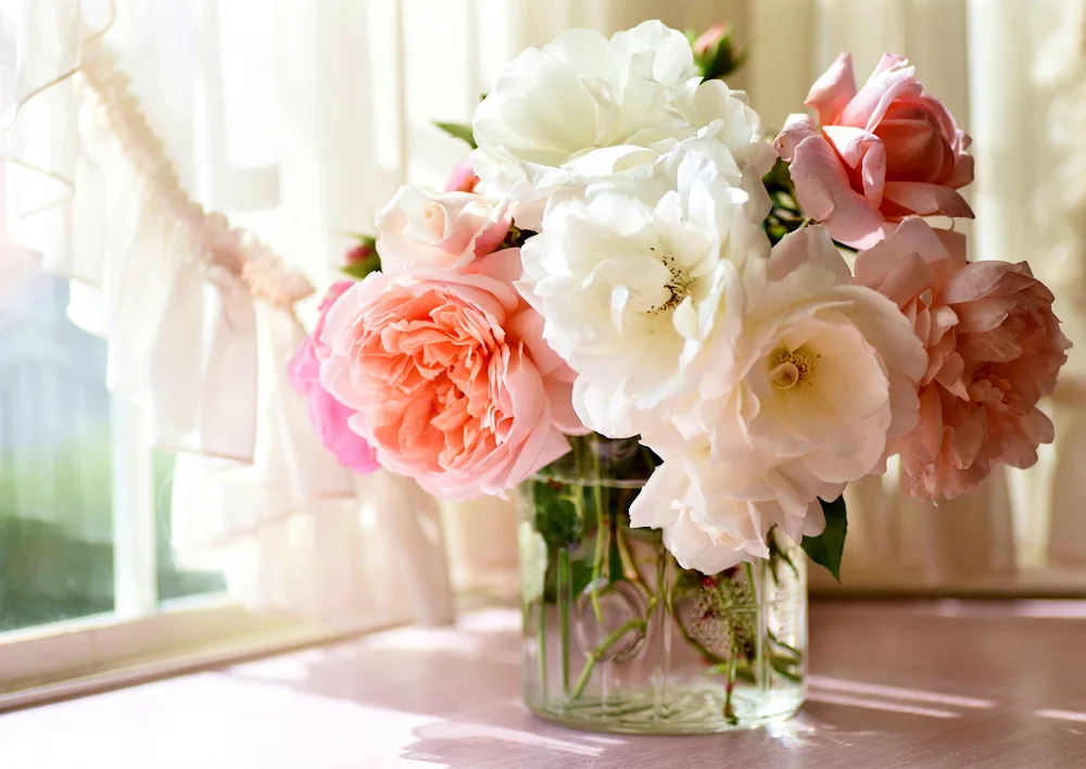 Gorgeous flowers in a vase