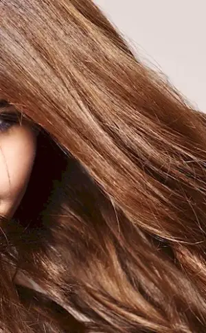 Chic hair. Phytolinia Palette Colour. Nutmeg