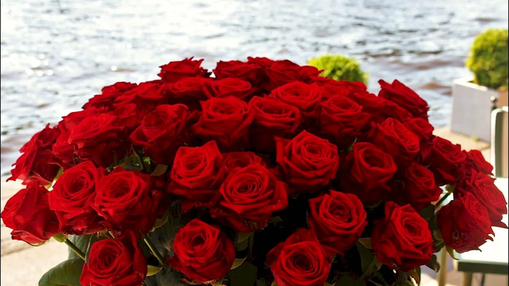 Gorgeous bouquet of red roses