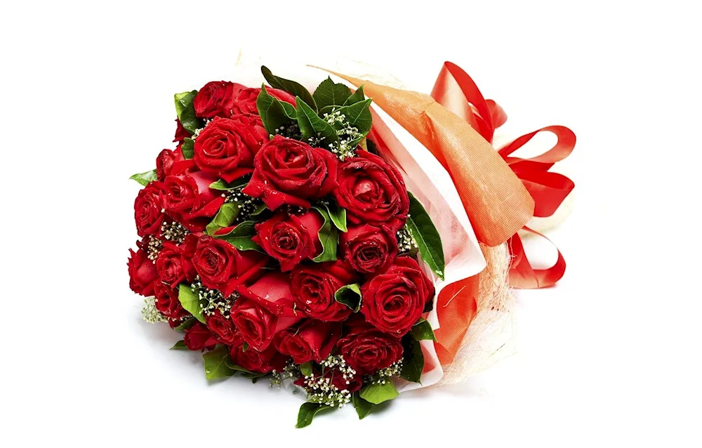White roses lying