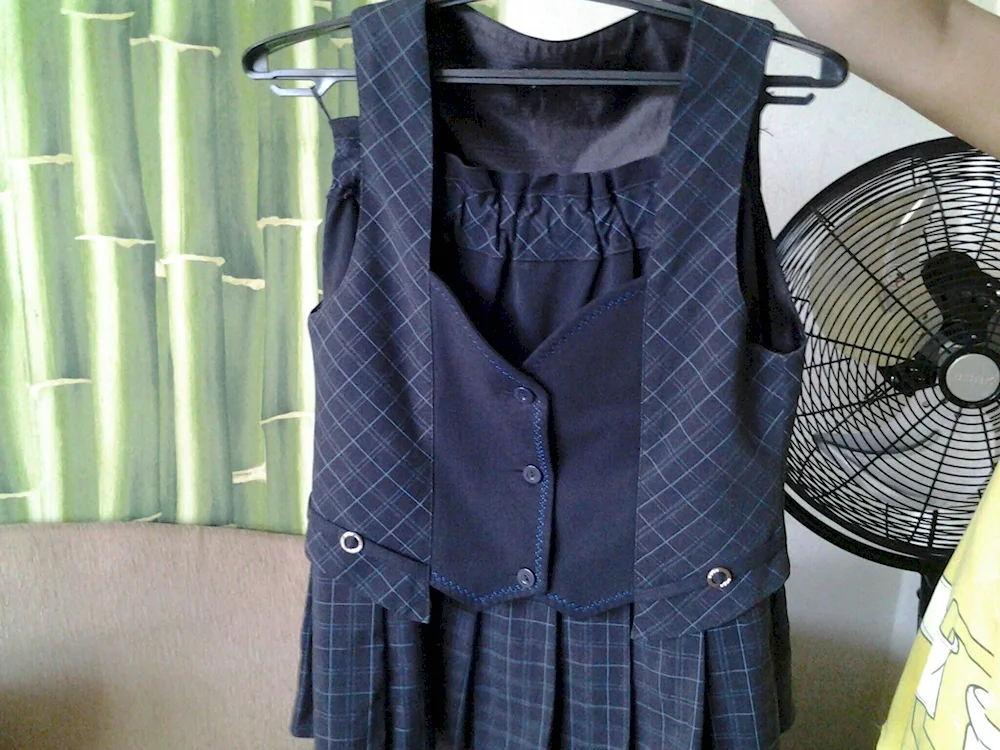 School uniform waistcoat with a skirt blue photo