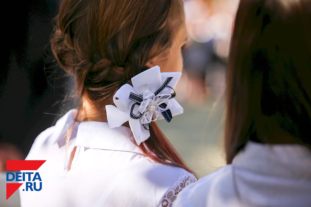 Schoolgirl with bows