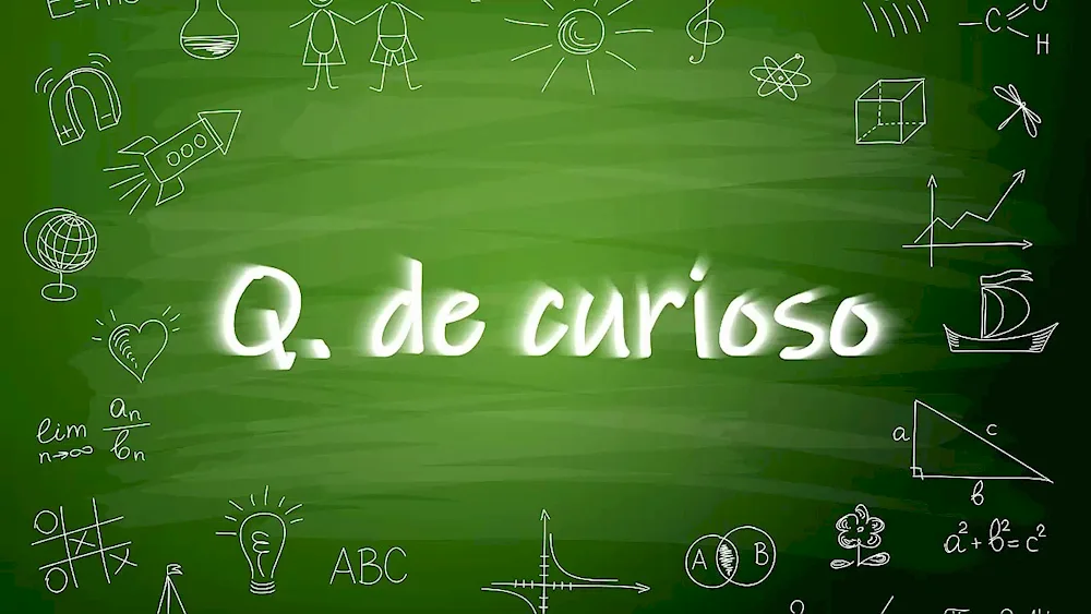 School background