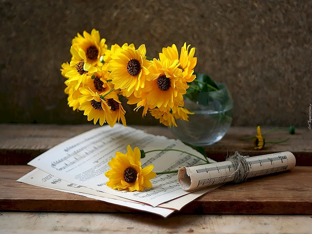 School Still Life