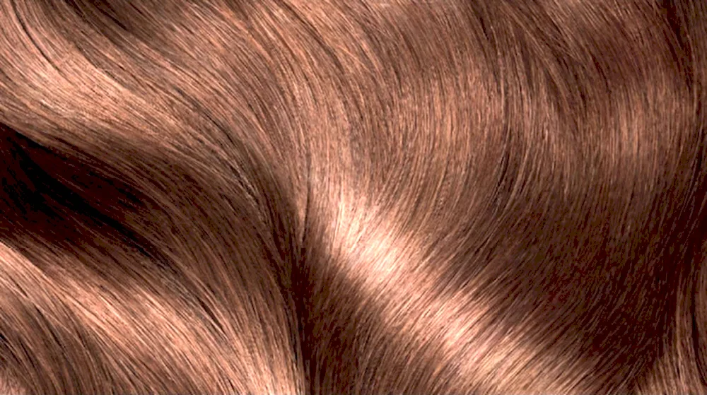 Mocha mocha mocha 5.43