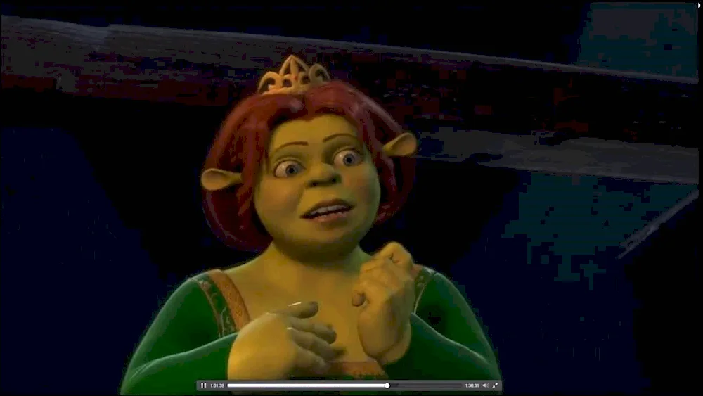 Shrek 1 Fiona