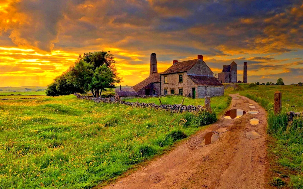 Village landscape