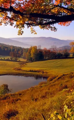 Vermont nature