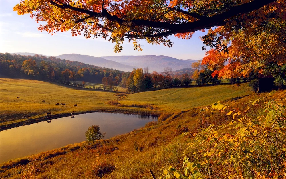 Vermont nature